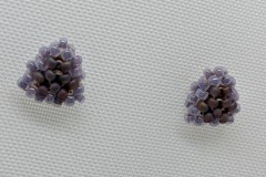 Oorstekers zilver kralendriehoek heide (klein)